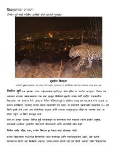 बिबटयांच्या गावात - Leopards in The City Marathi Pdf Book